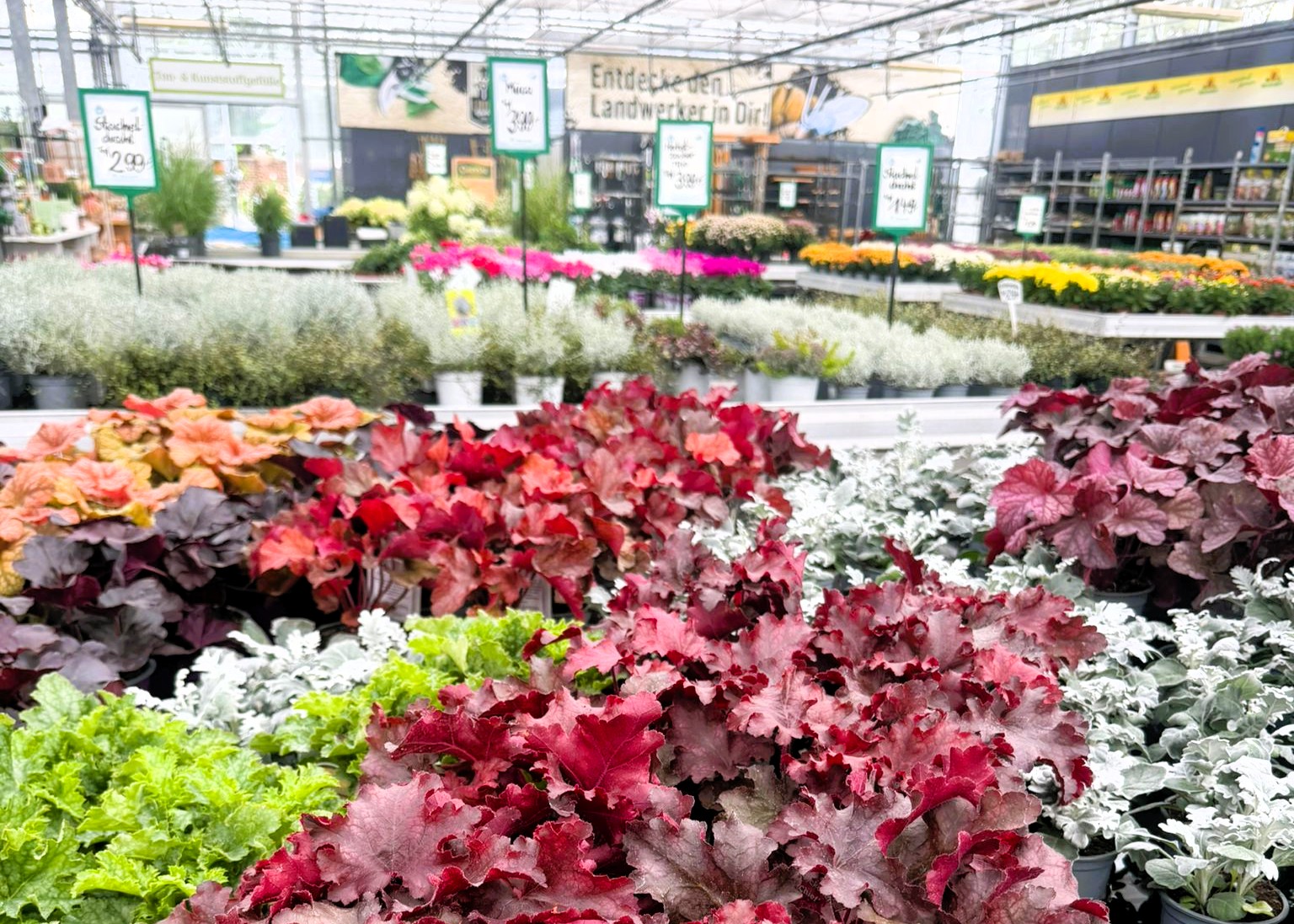 Monheimer Blumenmarkt